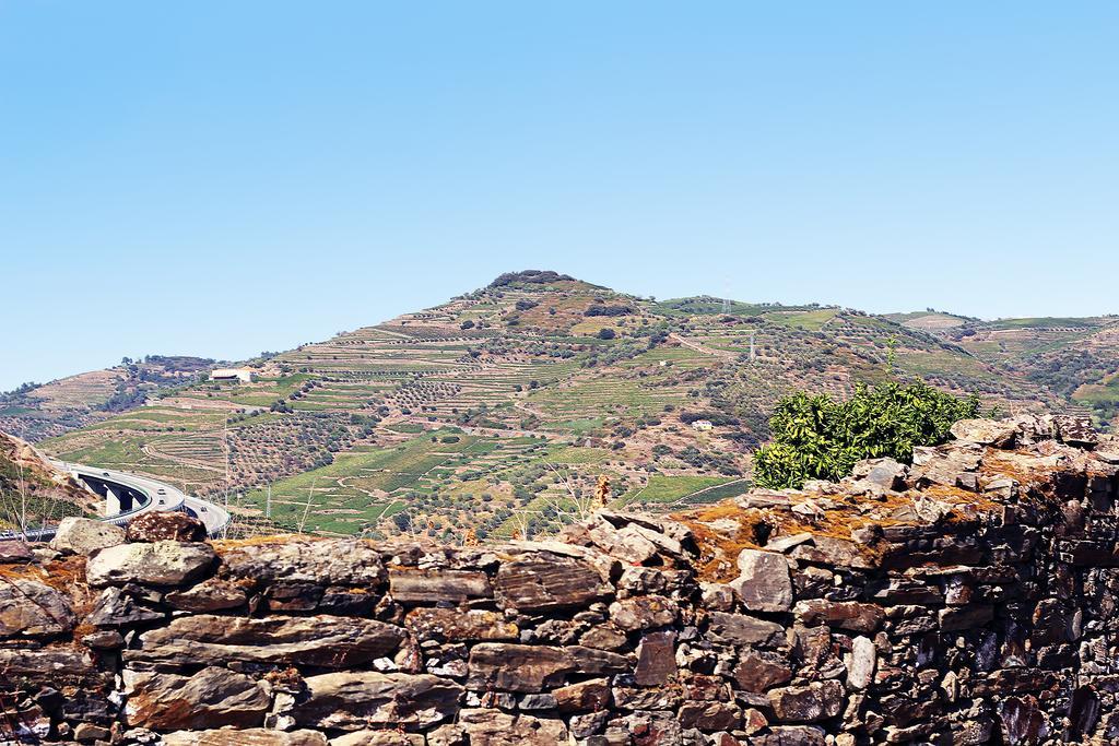 Quinta Da Pitarrela Landhaus