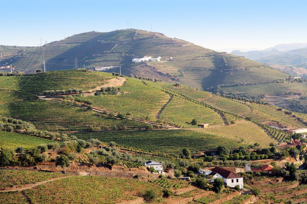 Gospodarstwo wiejskie Quinta Da Pitarrela *